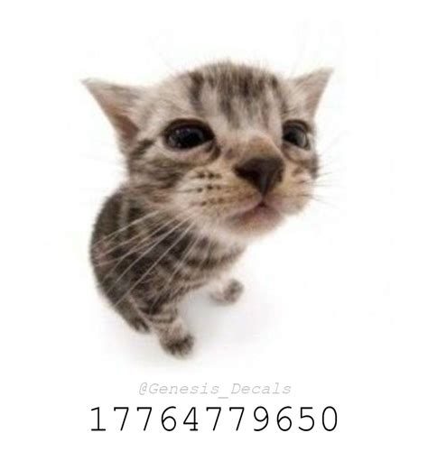 image ids in roblox|cat image id roblox.